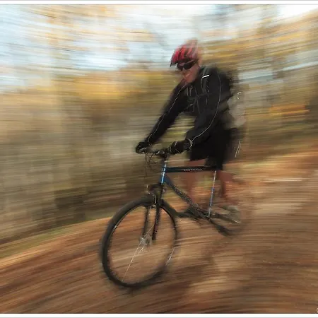 Yan Bibiyan Negushevo