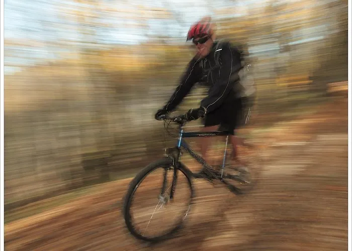 Yan Bibiyan Negushevo