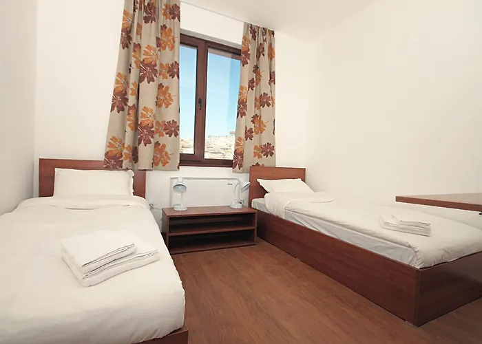 Yan Bibiyan Negushevo